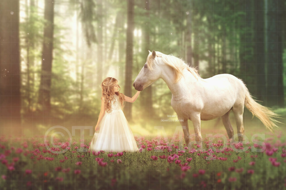 Horse in Field of Flowers by Forest Digital Background Backdrop