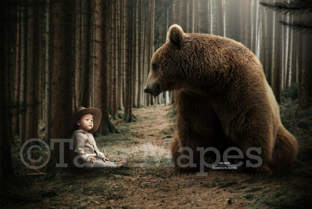 Bear in Forest Looking Down-  Creamy Forest Path- Digital Background Backdrop