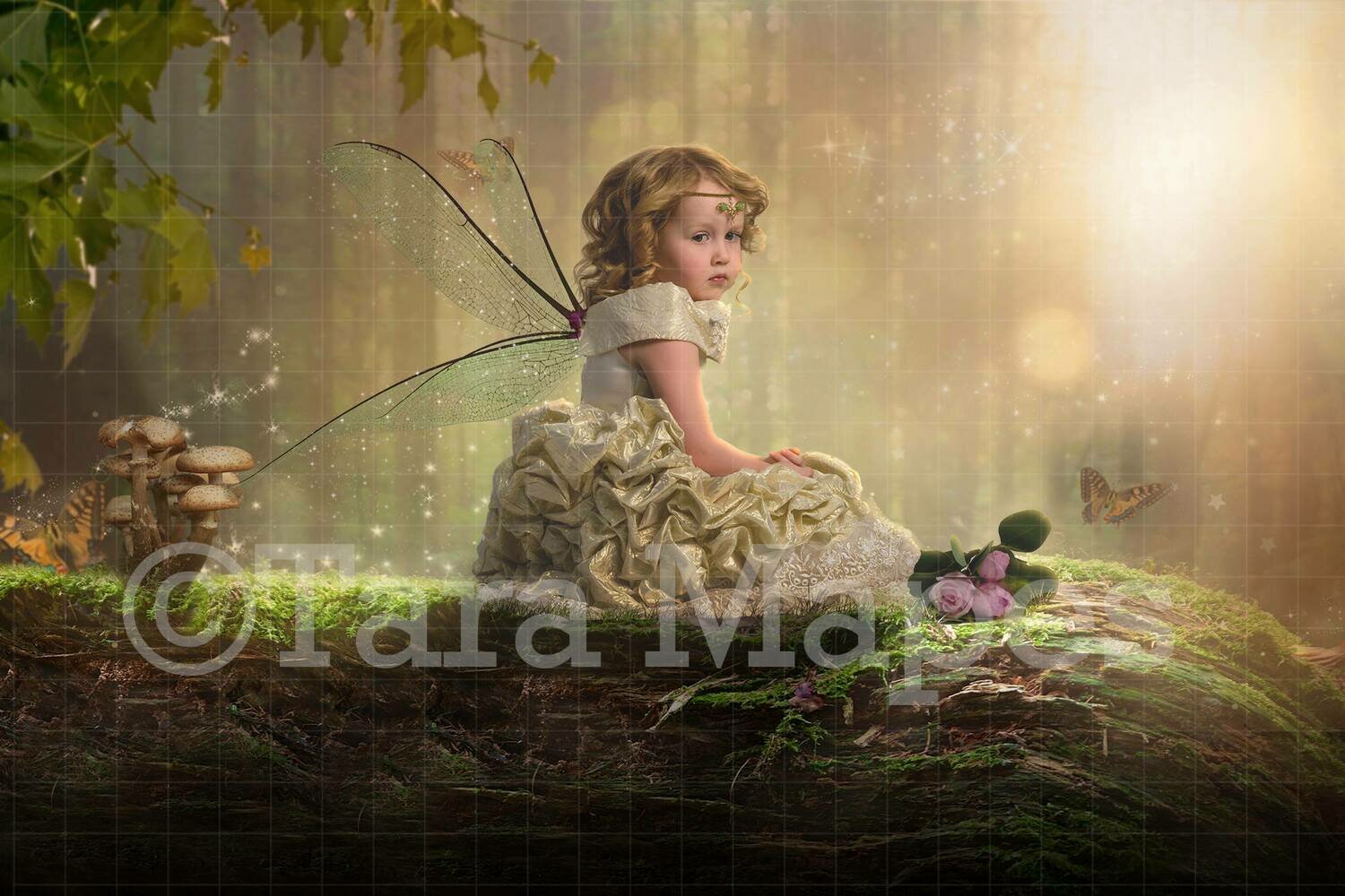 Fairy Log Magic Digital Background