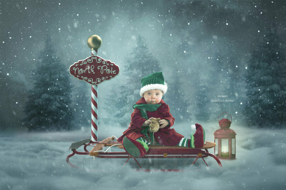 Sled in North Pole Christmas Digital Background Backdrop