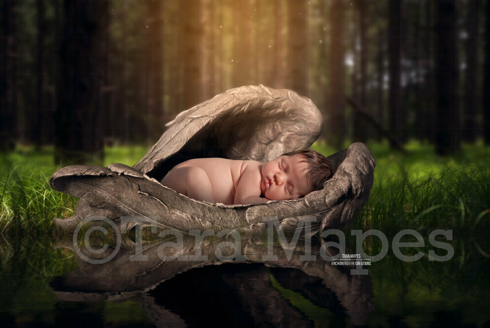 Heaven Sent Digital Background Forest Baby Fur Baby Newborn or Animal PSD Layered Digital Background / Backdrop