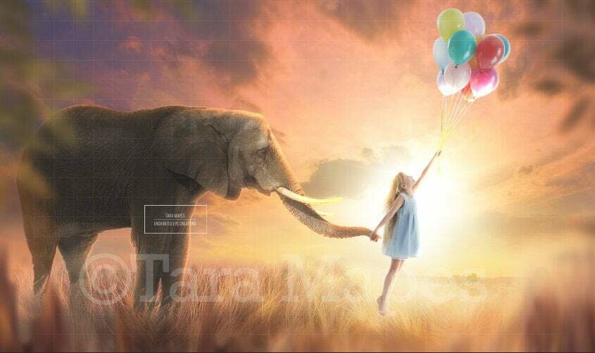 Elephant in Sunset Field Digital Background / Backdrop