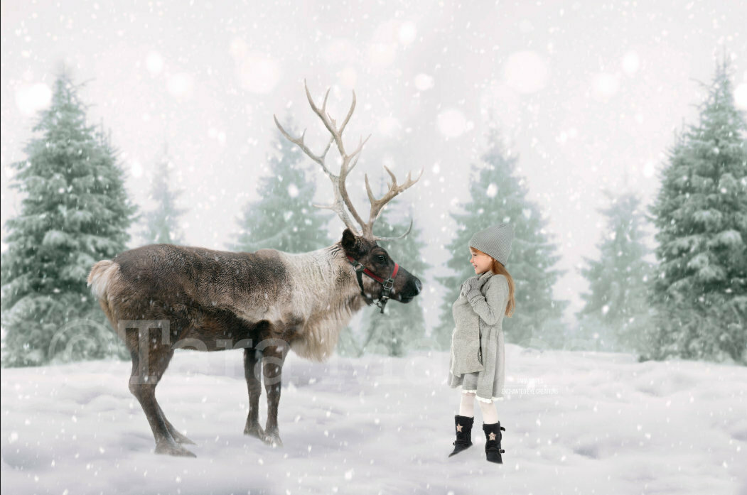 Reindeer in Snow  by Pine Trees - Snowy Scene with Reindeer - Christmas Holiday Digital Background Backdrop