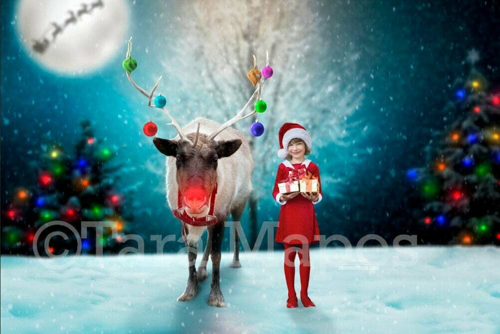 Reindeer at North Pole - Snowy Scene with Reindeer Ornaments - Christmas Holiday Digital Background Backdrop