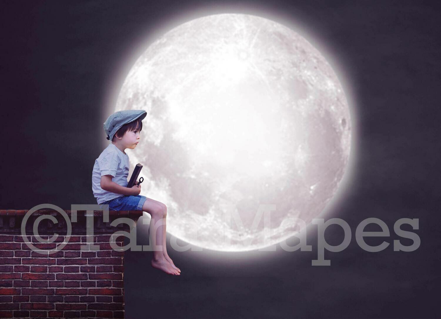 Rooftop and Moon Digital Background
