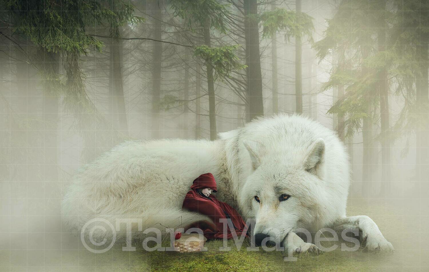 Little Red Riding Hood and Wolf Digital Background