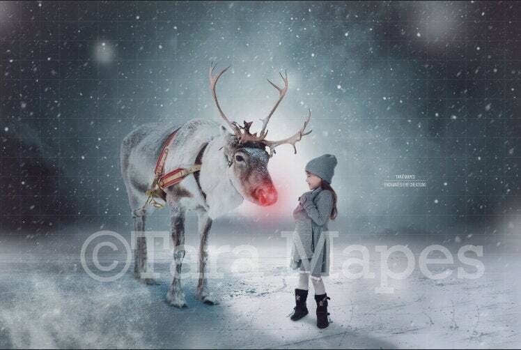 Rudolph the Red Nosed Reindeer -Winter Snowy Scene- Christmas Digital Background Backdrop