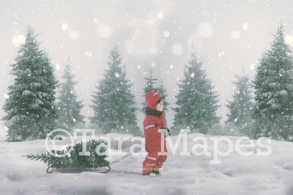 Pulling Christmas Tree on Sled -Winter Snowy Scene- Separate Sled and Snow Overlay - Christmas Digital Background Backdrop