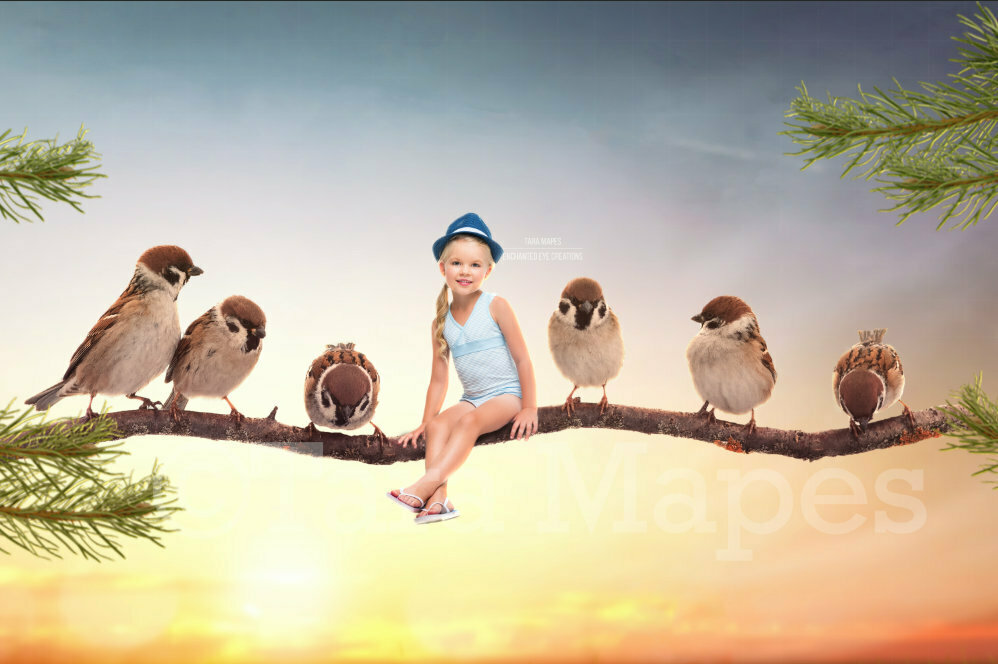 Birds on a Branch in Sunset Digital Background / Backdrop