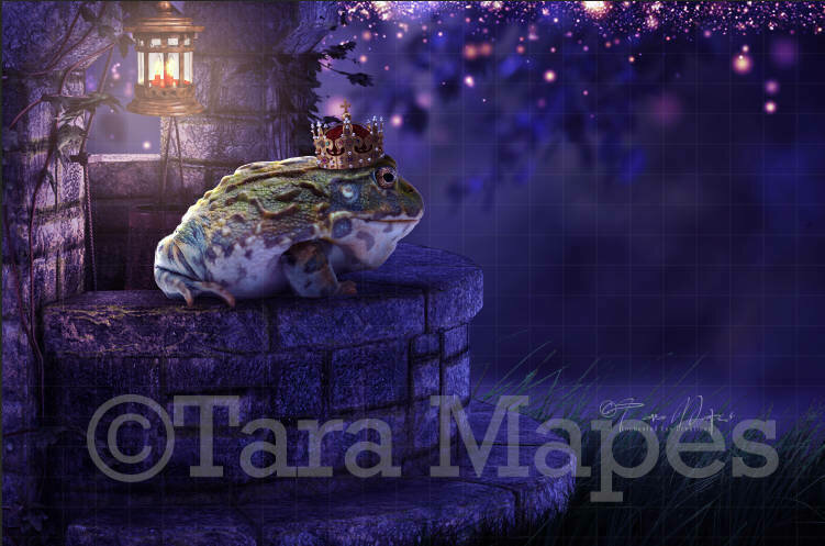 Frog  on Wishing Well Digital Background / Backdrop