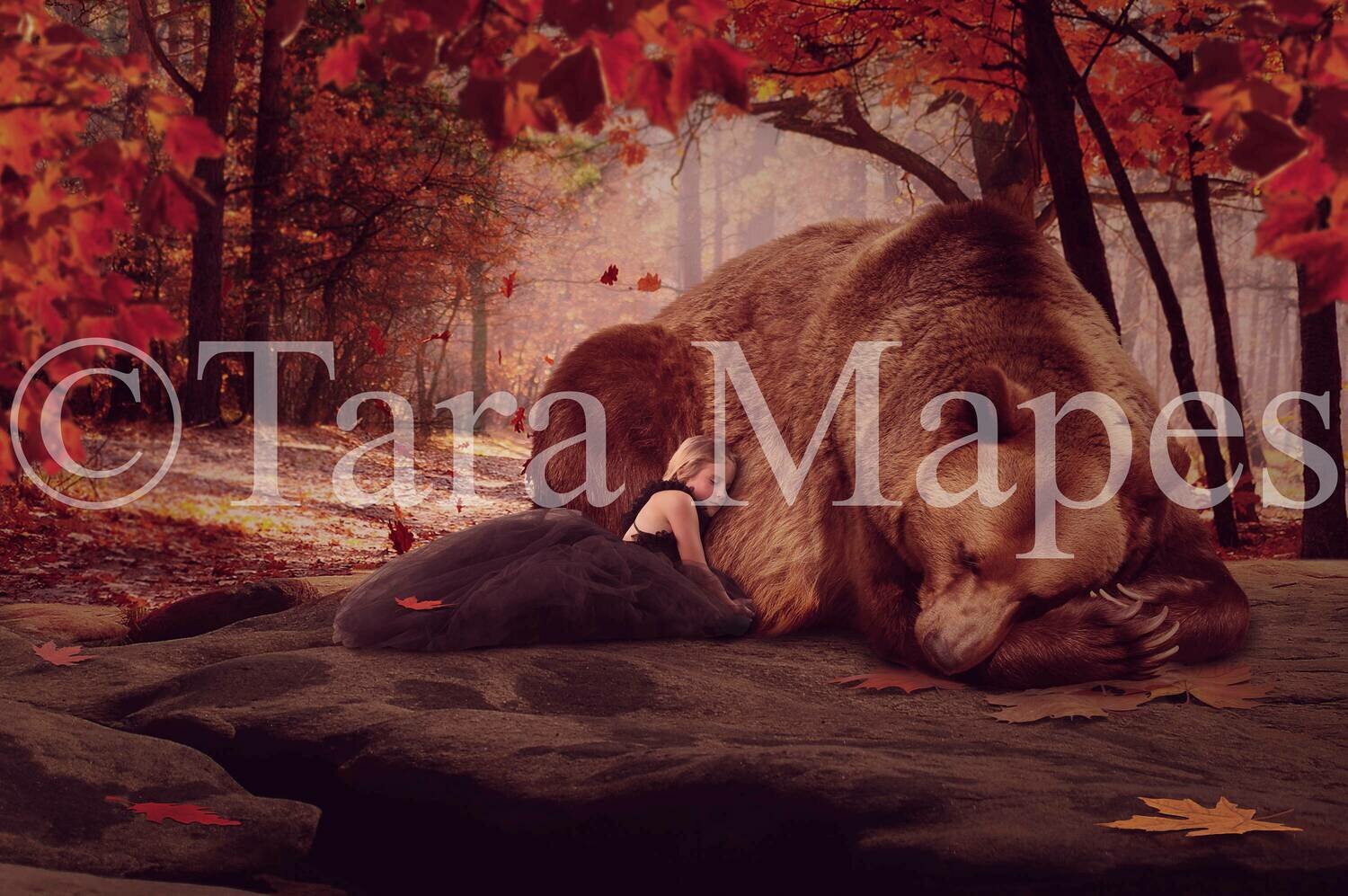 Bear in Forest Autumn Digital Background -Fall