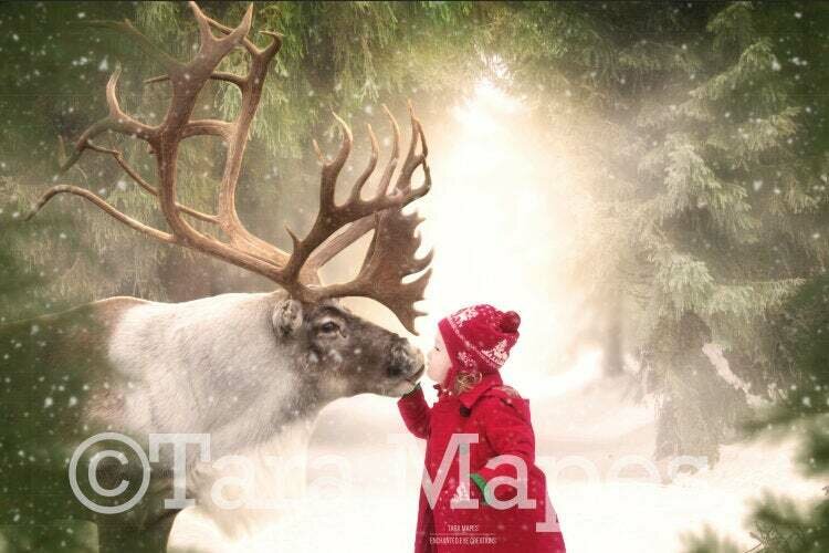 Kissing Rudolph the Red Nosed Reindeer -Reindeer Kiss - Winter Snowy Scene- Christmas Digital Background Backdrop