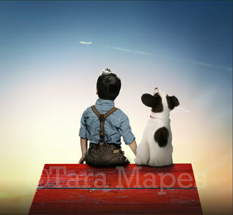 Dog on Red Doghouse Digital Background Backdrop