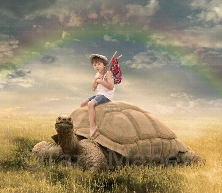 Big Turtle in Field with Rainbow Digital Background Backdrop