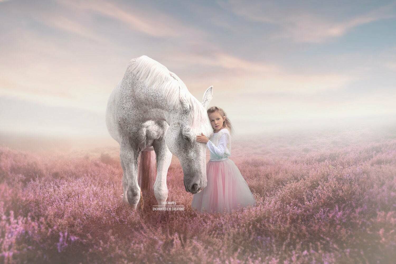 Horse in Field of Heather Lavender Flowers with Sun Creamy Pastel Digital Background Backdrop