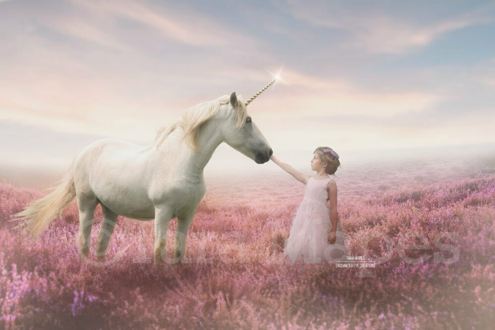 Unicorn in Field of Heather Violet Flowers with Sun Creamy Digital Background Backdrop