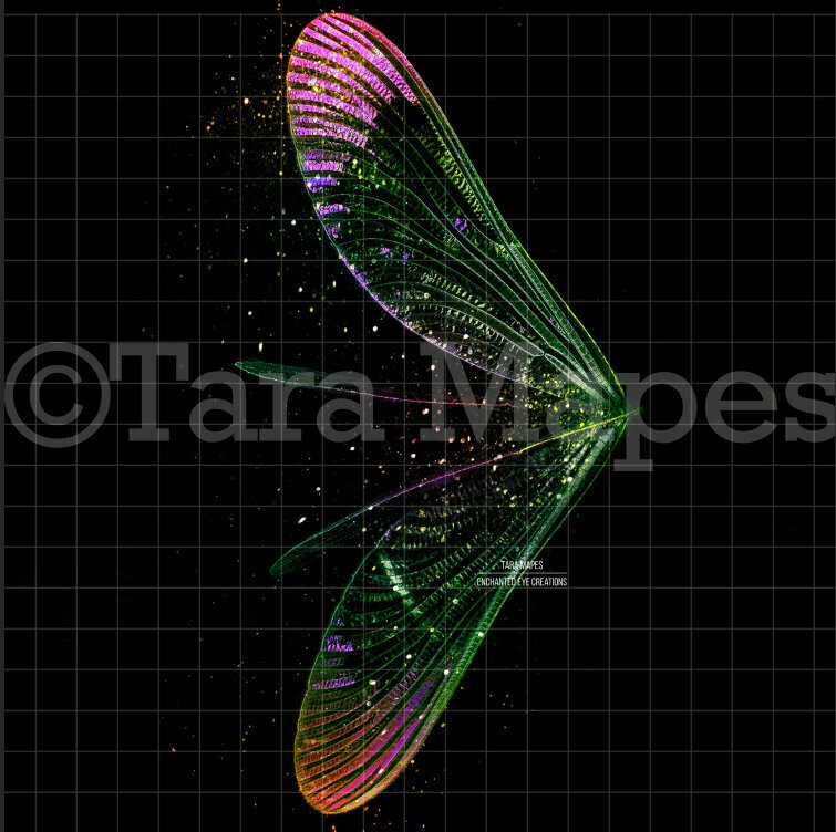 Rainbow Glitter - Wispy Fairy Wing Overlay - Rainbow Glittery Fairy Wing Overlay - Digital Wings - Sparkles Fairy Wing Overlay