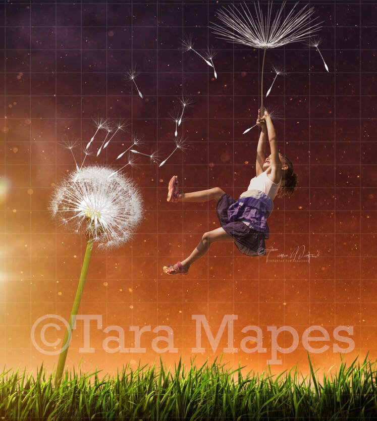 Dandelion Flyer Digital Background / Backdrop
