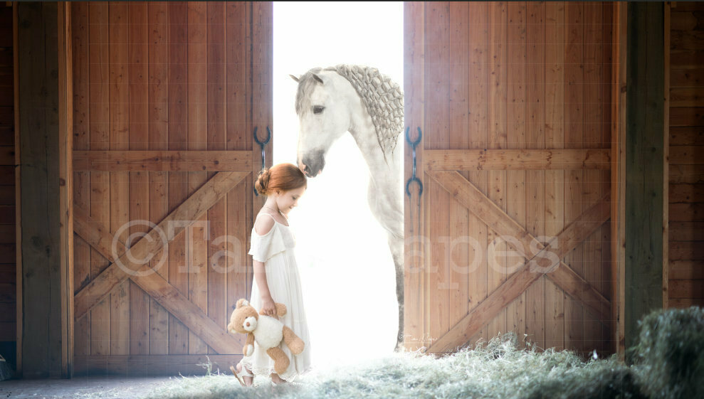 Horse in Barn Digital Background