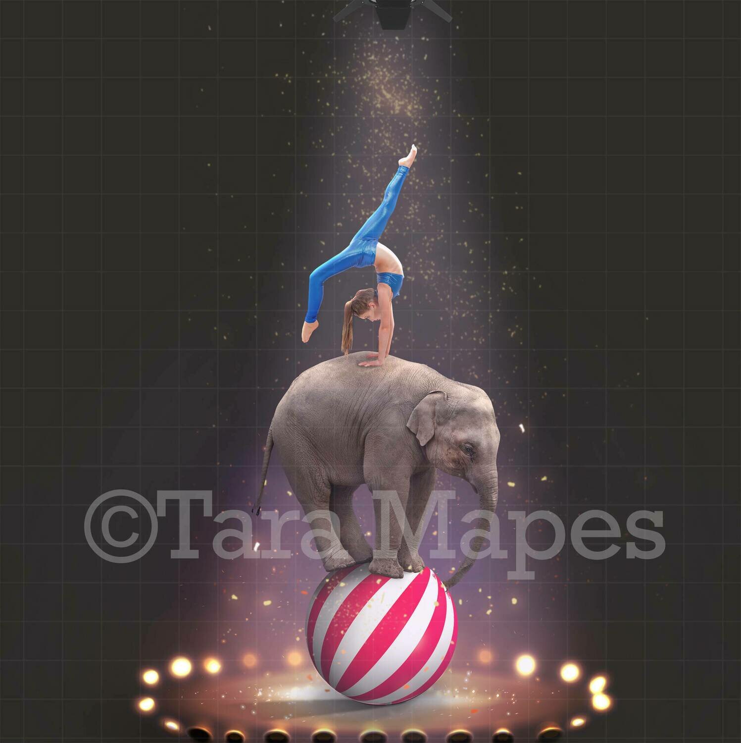 Baby Circus Elephant on Ball Digital Background