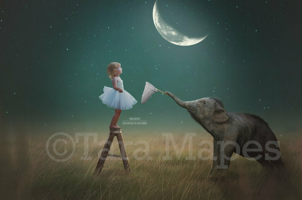 Moon Ladder- Baby Elephant by Ladder to Moon-Catch the Moon- Catch the Stars - Digital Background Backdrop