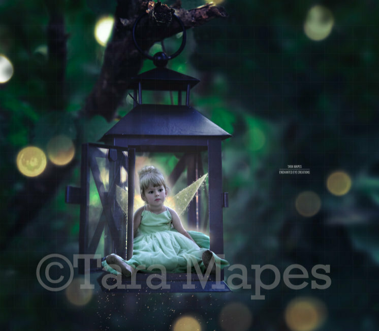 Fairy Lantern Digital Background Backdrop Photoshop