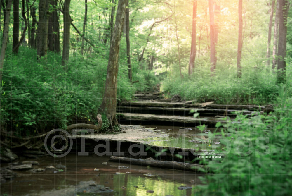 Creek Rocks Water in Woods Nature Digital Background Backdrop