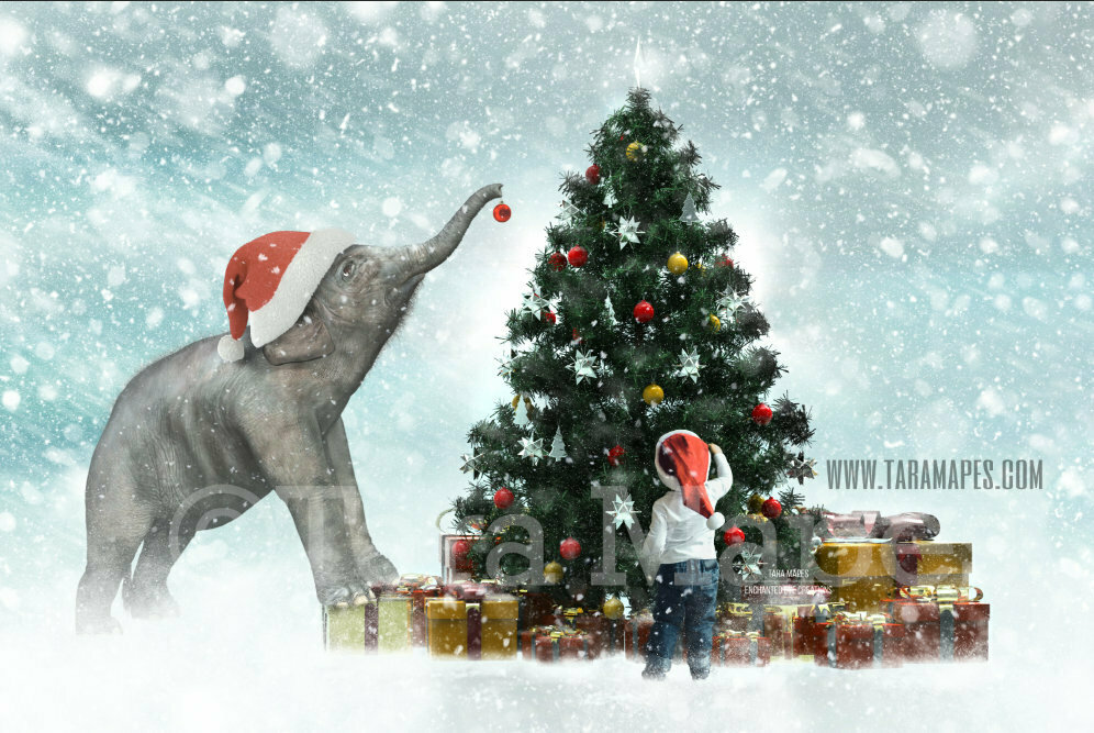 Christmas Baby Elephant Decorating Christmas Tree- Ellie Decorating Tree - Holiday Funny Christmas Card Idea - Digital Background Backdrop