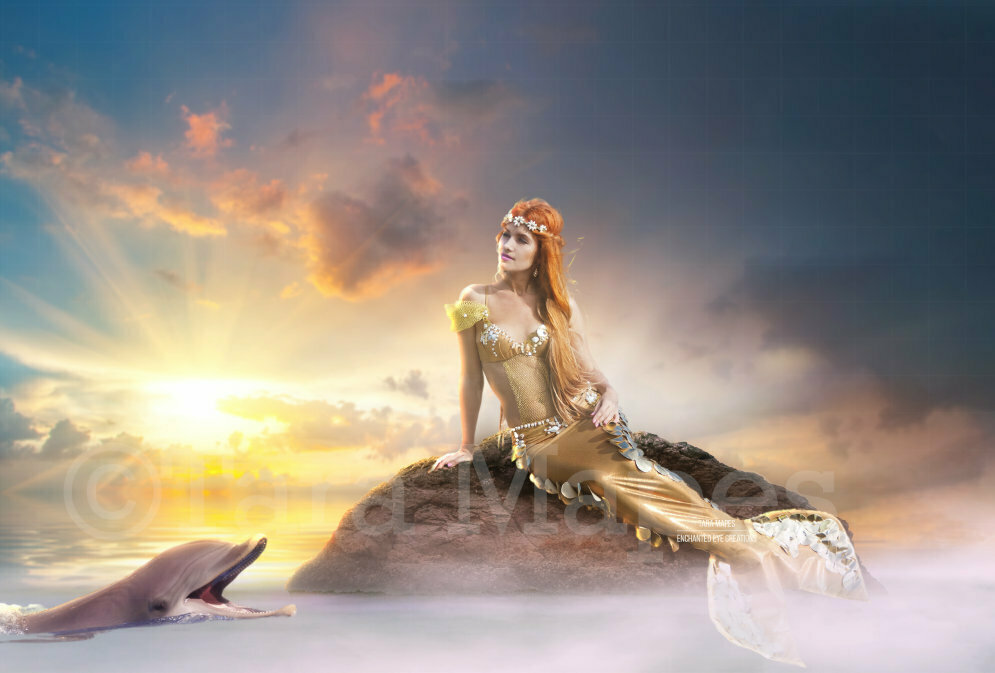 Mermaid Rock in Ocean Rock and Dolphin Digital Background Backdrop
