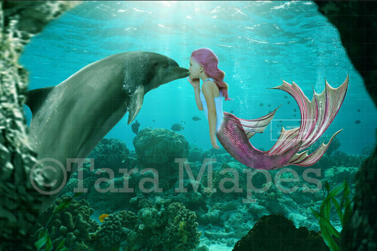 Mermaid and Dolphin Digital Background / Backdrop