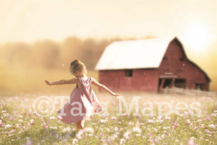 Red Barn in Field of Flowers at Sunset Digital Background / Backdrop