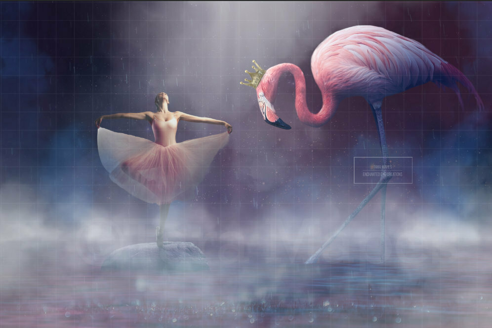 Pink Flamingo with Crown at Night in Lake Digital Background Backdrop