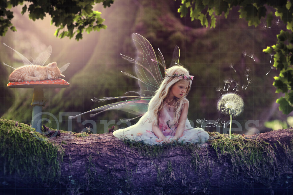 Fairy Kitten on Mushroom Fairy Log Digital Background