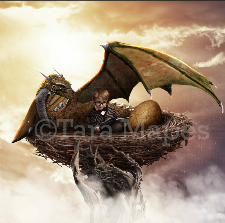 Dragon Nest Digital Background / Backdrop