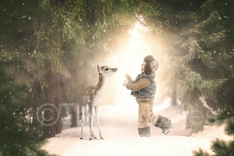 Baby Deer in Snowy Forest  - Winter Holiday Christmas Digital Background Backdrop