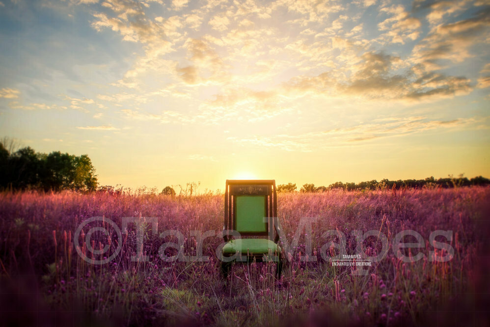 Green Antique Nature Chair in Purple Field - Lavender - Nature - Fairy Chair- Creamy Nature Background Backdrop