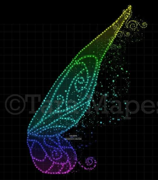 Rainbow Fairy Wing Overlay - Fairy Digital Wings - Glitter Sparkly Fairy Wing