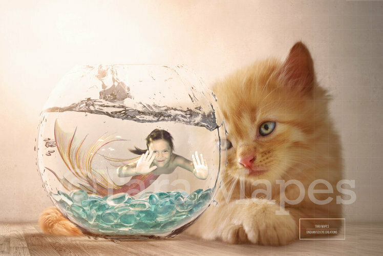 Mermaid in Fishbowl with Cat/Kitten Digital Background / Backdrop