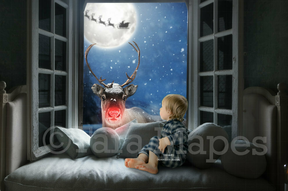 Rudolph Surprised in Christmas Window Holiday Magical Digital Background Backdrop