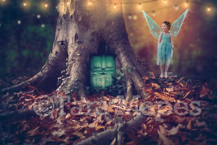 Fairy on Tree Stump in Pond in Magic Forest Digital Background / Backdrop
