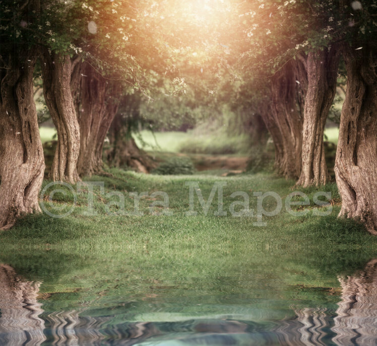 Creamy Tree Tunnel - Spring Easter Setting - Lake Digital Background / Backdrop