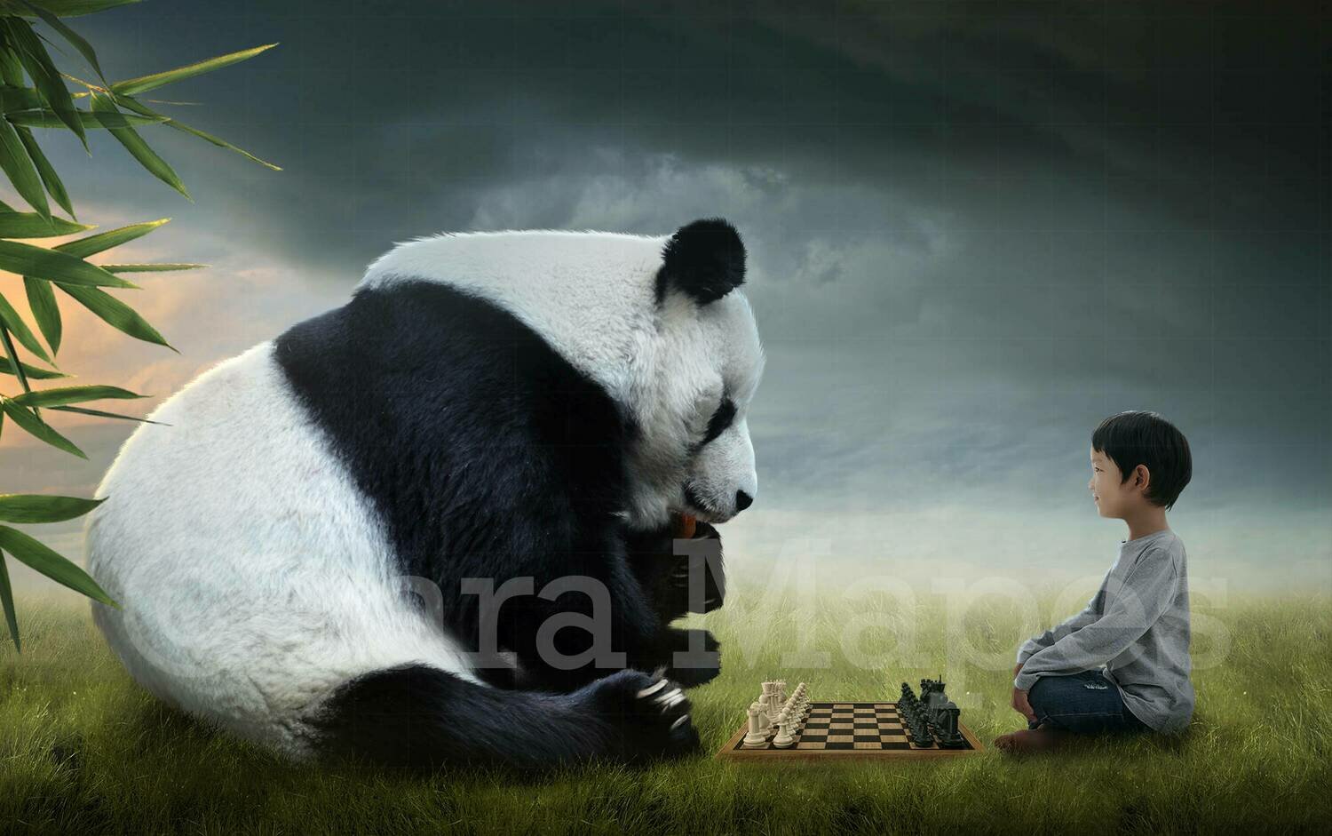 Panda Playing Chess Digital Background