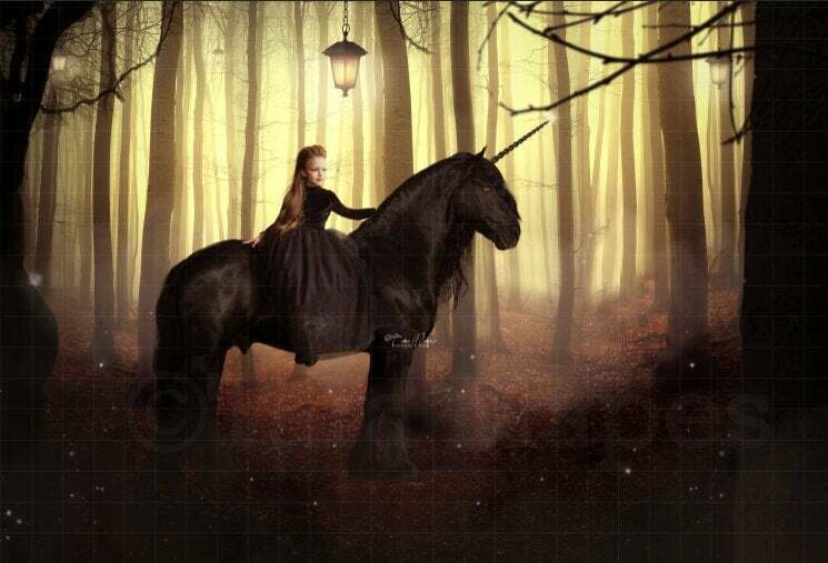 Black Unicorn in Dark Forest Digital Background