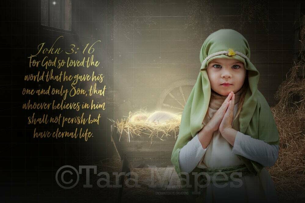 Christmas Nativity Scene- Baby Jesus - Religious Card - Bible Verse - Digital Background Backdrop