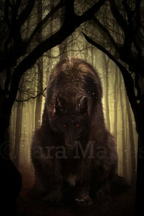 Wolf in Dark Forest Digital Background