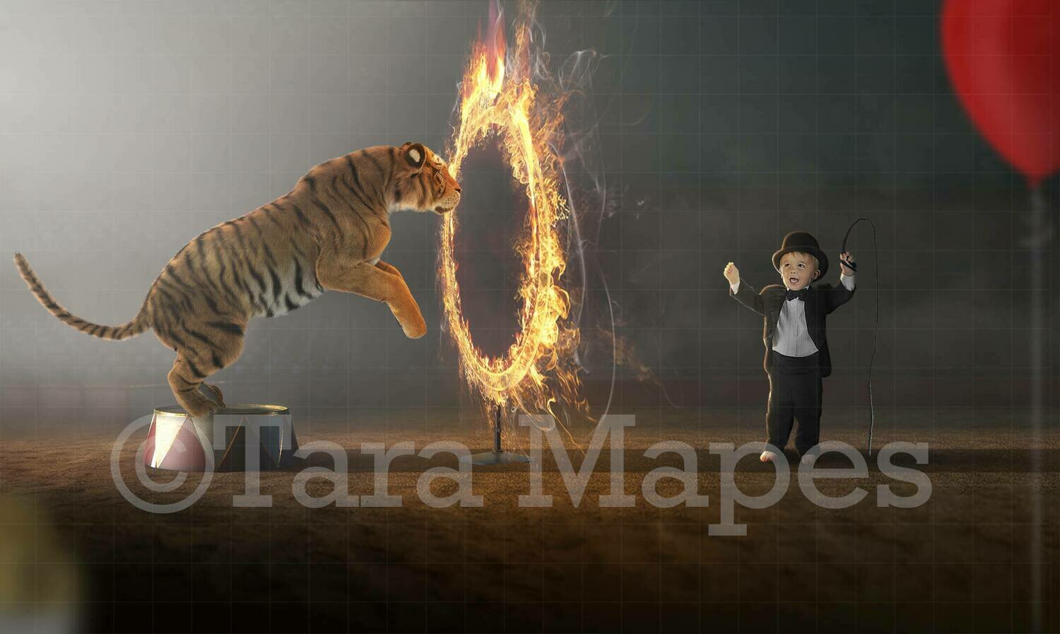 Circus Tiger Jumping Through Fire Ring Digital Background