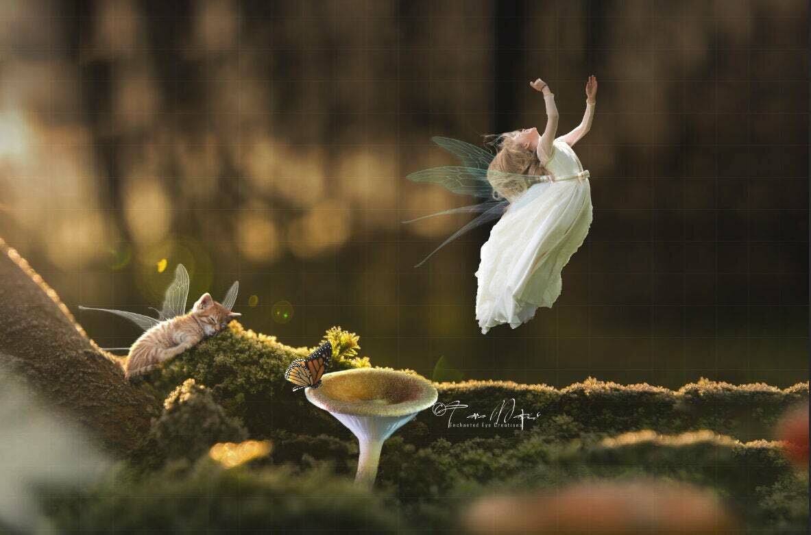 Fairy in a Forest with Fairy Kitten Digital Background