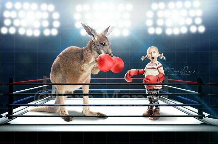 Boxing Kangaroo Digital Background / Backdrop