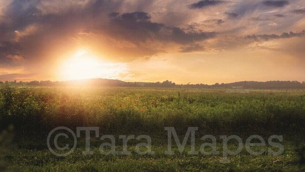 Sunset Field Magic Background Backdrop