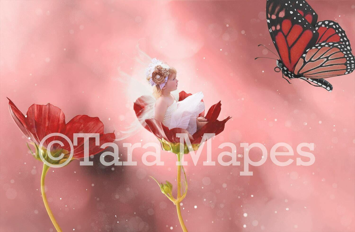 Fairy Flower Digital Background